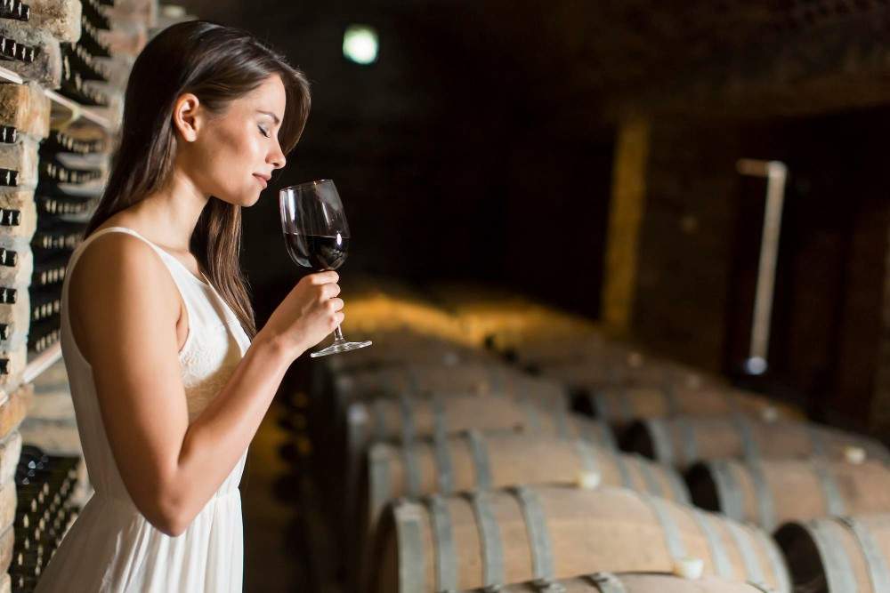 Image illustrating wine tasting at the best winery in Tirana, Albania.